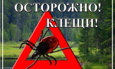 protivokleschevaya_obrabotka_deratizaciya_dezinsekciya_dezinfekciya_972-400×240