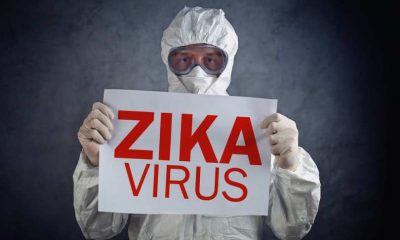 virus_zina-400×240